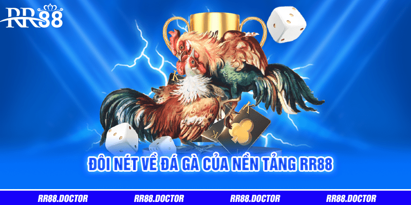 Đôi nét về đá gà của nền tảng RR88