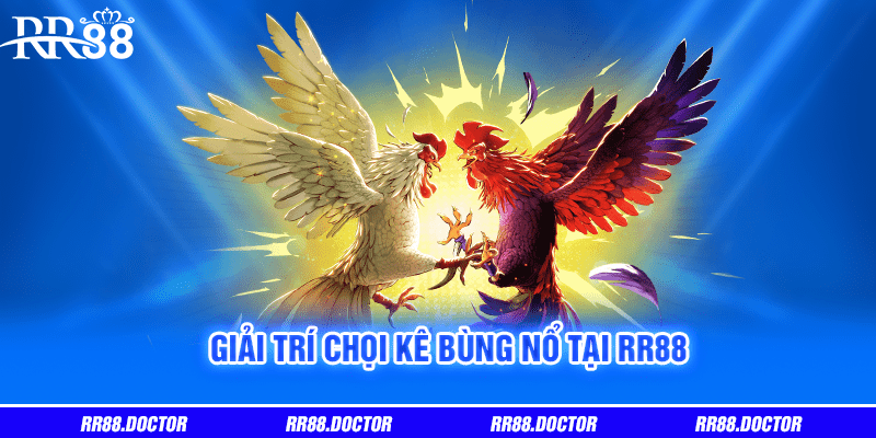 Giải trí chọi kê bùng nổ tại RR88